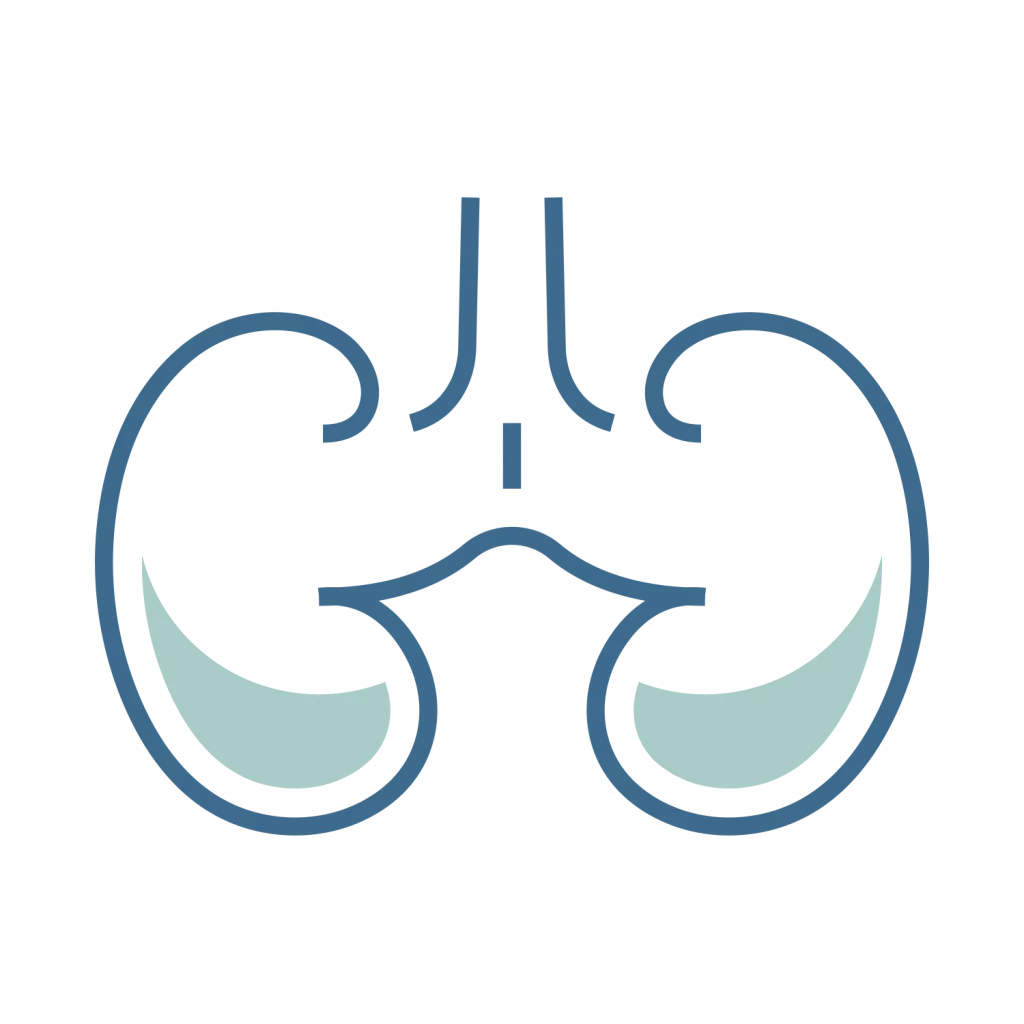 Especialidad urología Clínica IMIF